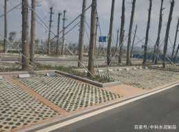 廣州植草磚在新時代的推廣和應用
