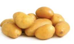 哪些土豆不能隨便吃？沒有發芽、變綠的土豆就可以吃了嗎？