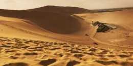 專欄F｜Cora單詞51沙漠：清一色的黃沙，連綿起伏的山丘