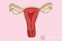子宮內膜厚怎麼辦