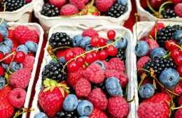 易壞的莓果如何延長保鮮？４個重點告訴你