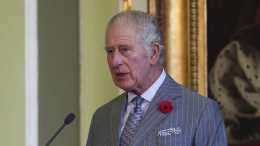 查爾斯向英國議會提議：增加兩名王室成員“可代行君主職權”
