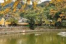 寧波賞秋，這裡真的太好拍了！絕美秋景快衝