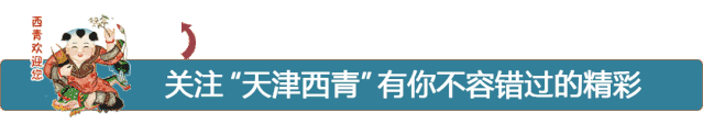 《天津日報》連版刊發|打造大運河上閃亮的明珠──揭秘西青區大運河國家文化公園