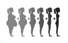 沒有天生的胖子！這4個生活惡習，會讓你慢慢變易胖體質