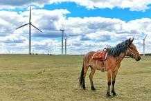 盤點內蒙古的5A級景區，自由遼闊的草原風光，哪些值得一去！