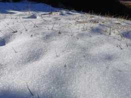 濟南11月初迎初雪有多罕見？59年來僅4回