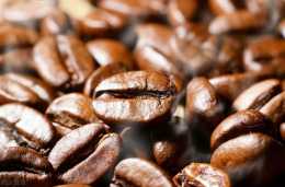 咖啡豆的烘焙程度怎麼選擇？輕度烘焙跟重度烘焙哪種程度更好喝？