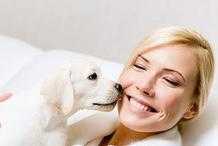 狗為何會喜歡舔人？除了有表達愛意，這幾點也不可忽視