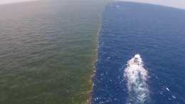 為什麼太平洋和大西洋的海水不相融，還有50釐米落差，是什麼原因造成的？