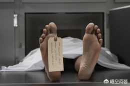 人死後屍體為什麼會很快發臭？