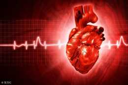 如何治療心臟左前分支傳導阻滯？從最基礎的基礎病治療入手