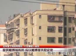 出租屋白天安靜晚上燈火通明，深圳龍崗警方搗毀兩賭檔，48人被捕
