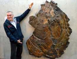 世界最大貝類硨磲可達600斤，廣東也出現100斤巨型文蛤，驚呆眾人