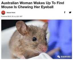 澳洲農婦半夜疼醒，竟是老鼠在咬她眼球！老鼠傷人開始越來越多了