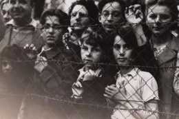 是什麼讓納粹德國完成了對600萬猶太人的大屠殺？
