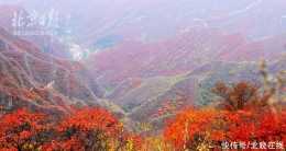 美圖｜與坡峰嶺僅隔幾個山頭！一條山脊步道盤活新賞紅景區