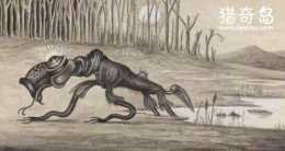 澳洲水獸本耶普，狗頭馬尾的詭異吃人水怪