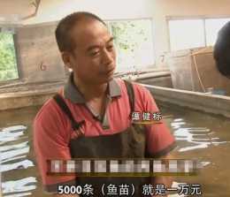 佛山譚健標：2畝魚塘2個月賺1000多萬，一條魚淨利10萬，你信嗎？