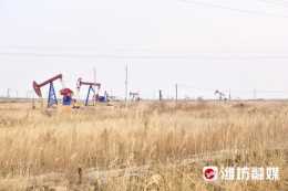 聚焦山東省2022年工作動員大會丨守護油田，濰坊這群“許三多”有多拼？