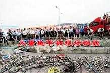 看著就心疼！四川瀘州銷燬大量魚竿，休閒垂釣該何去何從？