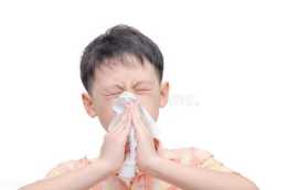 入秋咳嗽、流鼻涕不是感冒，而是“花粉症”在作怪