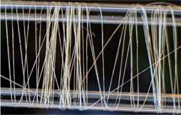 研究人員製造出比天然蜘蛛絲更結實的人造蜘蛛絲