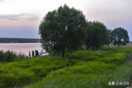 山西永濟週末黃河邊遊玩，黃河裡有流蓮，遊客們紛紛下河撈蓮藕