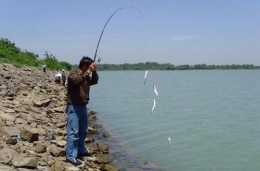海竿釣魚，如何組鉤？介紹六種海竿常用的組鉤方法