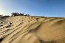 探秘沙漠裡的“紫禁城”，黃沙包圍的民勤縣，如今的綠化讓人驚喜