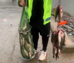陝西一水庫鱸魚“大爆發”，有人半天釣了幾十斤，後備箱都裝不下