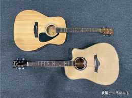 費森VZ200和雅馬哈F310，哪款吉他更適合初學者？