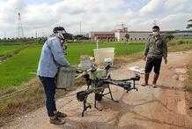 東莞橋頭：採用無人機進行噴藥防護作業 助力水稻增產增收