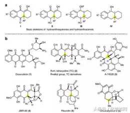 華東師大高栓虎課題組Nature 光烯醇化的Diels-Alder反應及其應用